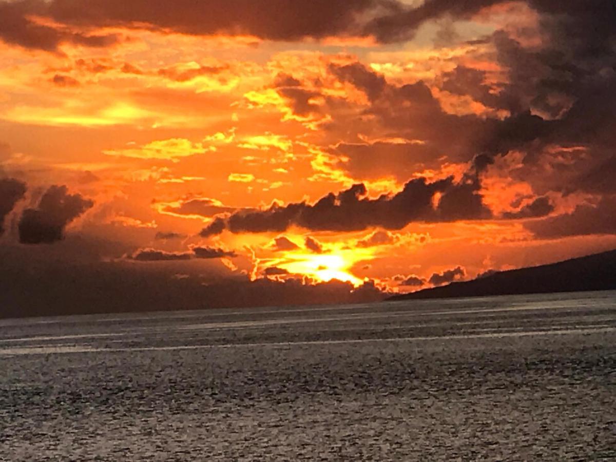 Piera'S Paraiso Seaview プラヤ・パライソ エクステリア 写真